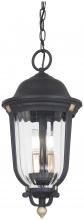  73236-738 - Peale Street - 3 Light Chain Hung