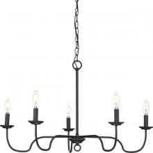  P400291-31M - Canebrake Collection Five-Light Matte Black Farmhouse Chandelier Light