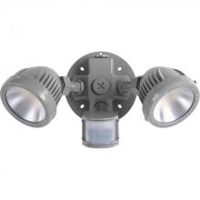 SECURITY LIGHT