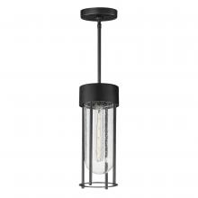  30587CDBK - Millennial-Outdoor Hanging Lantern