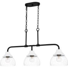  OTN336MBK - Otten Island Chandelier