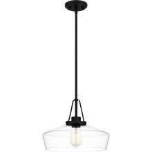  QP5584MBK - Quoizel Pendant