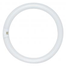  S2954 - 40 Watt; T9; Circline Fluorescent; 3000K Warm White; 52 CRI; 4-Pin base