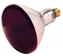  S4998 - 250 Watt R40 Incandescent; Red Heat; 6000 Average rated hours; Medium base; 120 Volt