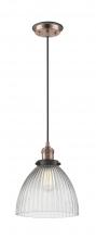  201CBP-ACBK-G222 - Seneca Falls - 1 Light - 10 inch - Antique Copper - Cord hung - Mini Pendant