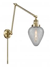  238-AB-G165-LED - Geneseo - 1 Light - 8 inch - Antique Brass - Swing Arm