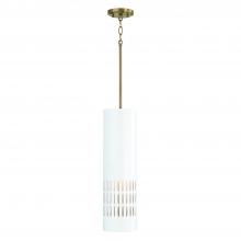  350211AW - 1-Light Pendant