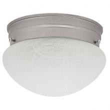  5678MN - 2 Light Flush Mount