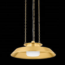  8822-AGB - Woodrow Pendant