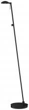  P4334-66A - 1 LIGHT FLOOR LAMP