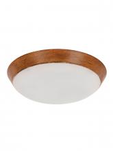  21101401 - Lucci Air Type A Koa LED Light