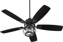  3525-69 - GALVESTON FAN - TXB