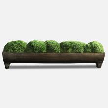  60203 - Canal Moss Small Centerpiece