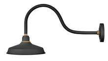  10352TK - Medium Gooseneck Barn Light